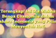 Terungkap! Ini Dia Makna Bunga Chamomile dalam Bahasa Indonesia yang Paling Menyentuh Hati
